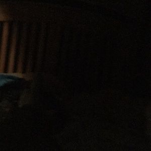 Meet your Posher, Miles